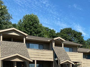 209 NE 40th Terr #137 Studio Apartment for Rent - Photo Gallery 3