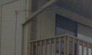 3930 - 3950 N Cherry St Studio Apartment for Rent - Photo Gallery