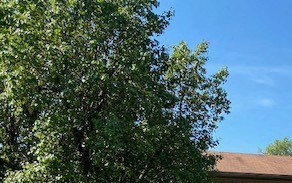 3930 - 3950 N Cherry St Studio Apartment for Rent - Photo Gallery