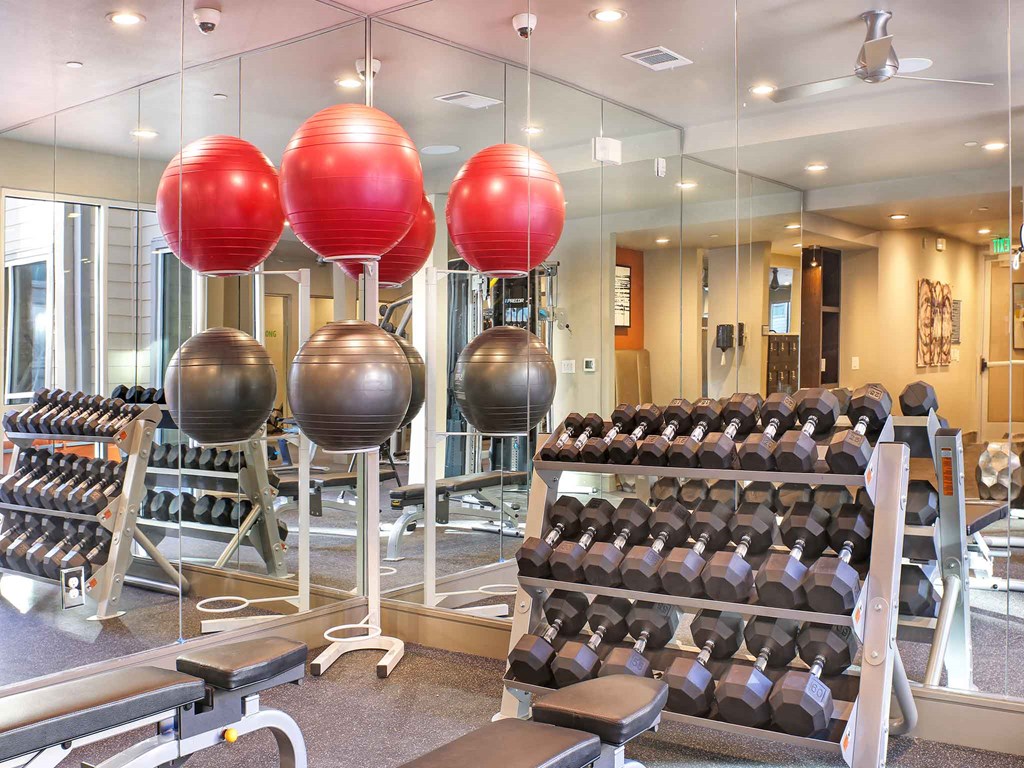 a gym with rows of dumbbells and mirrors