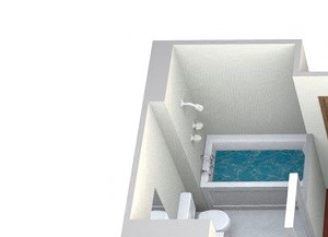1 Bedroom, 1 Bath (F)