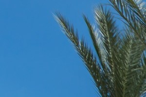 Rent Pinnacle Heights Apartments In Tucson Az