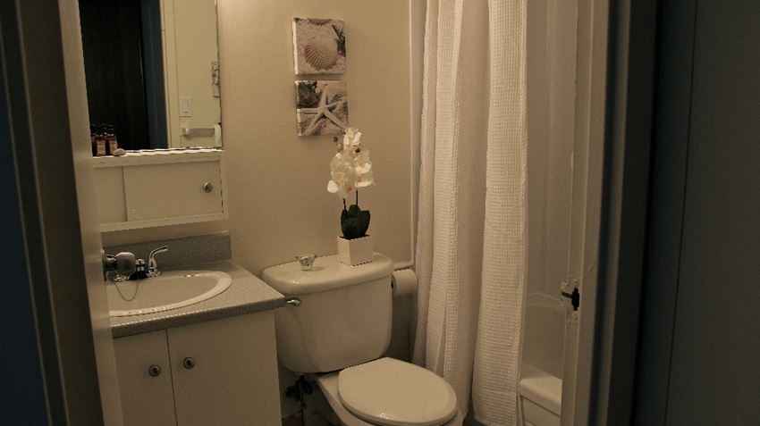 100 Boteler Street Studio-1 Bed Apartment for Rent - Photo Gallery