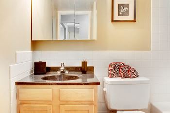 Upgraded Vanities and Countertops, at Reserve Square, Cleveland, 44114