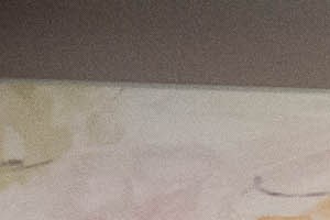 Cheap Apartments In Jackson Ga Cheap Apartments In Jackson Ga