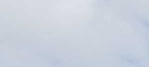 Ashford At Feather Sound Apartments In Clearwater Fl