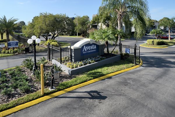 Apartments For Rent In Tampa Fl On Himes Ave Apartments For Rent In Tampa Fl On Himes Ave