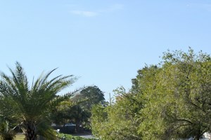 Apartments For Rent In Tampa Fl From 689 Rentcaf 233