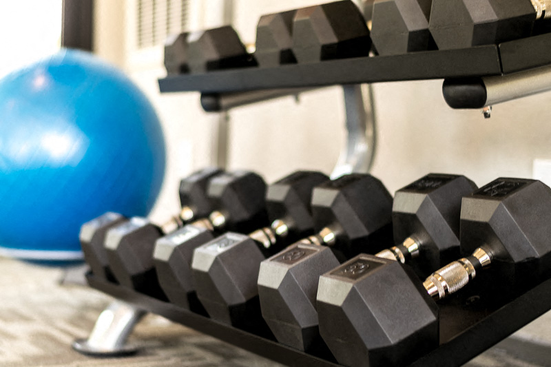 a rack of dumbbells in a gym with a blue ball