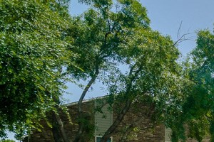 1500 Interstate 35 Frontage Rd. 1-2 Beds Apartment for Rent - Photo Gallery
