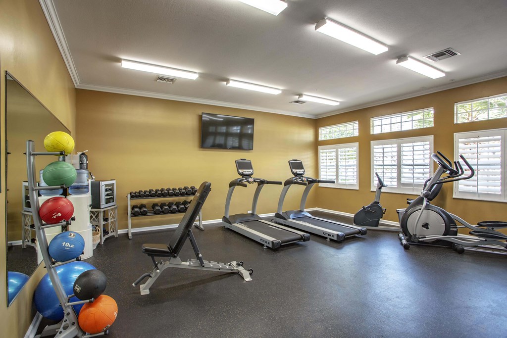 our gym is equipped with a variety of weights and cardio equipment