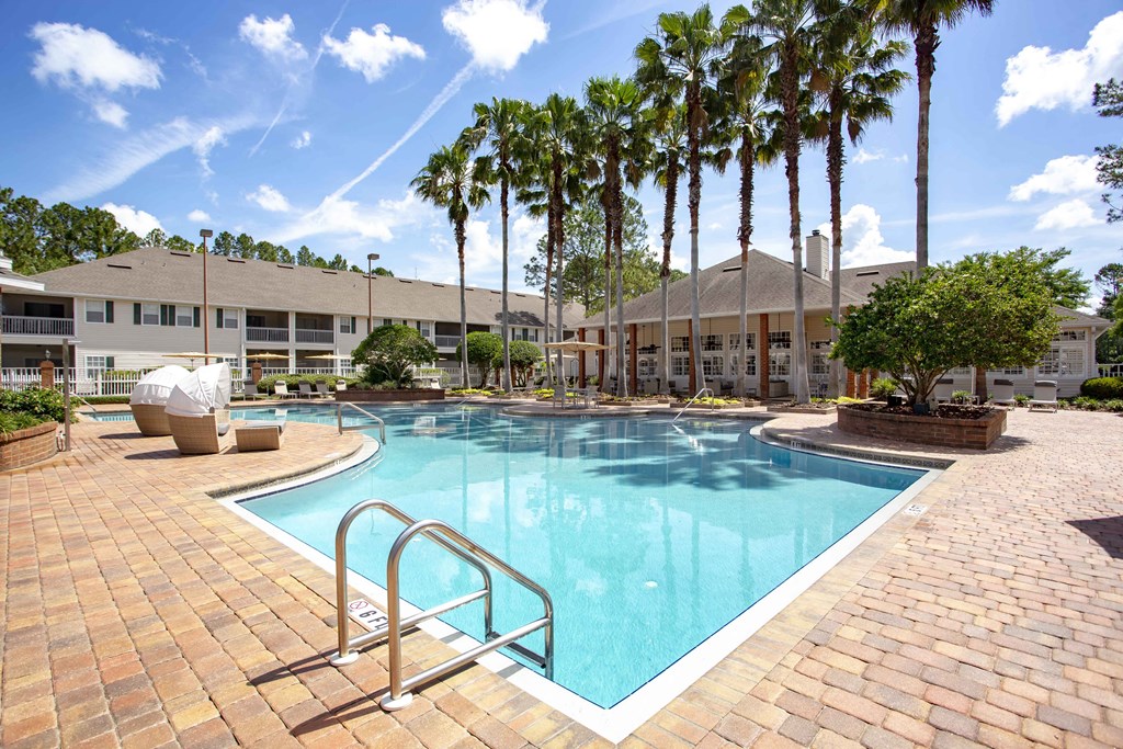 our apartments offer a swimming pool with palm trees
