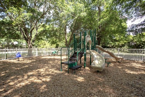 a playground with a slide and other toys in a park
