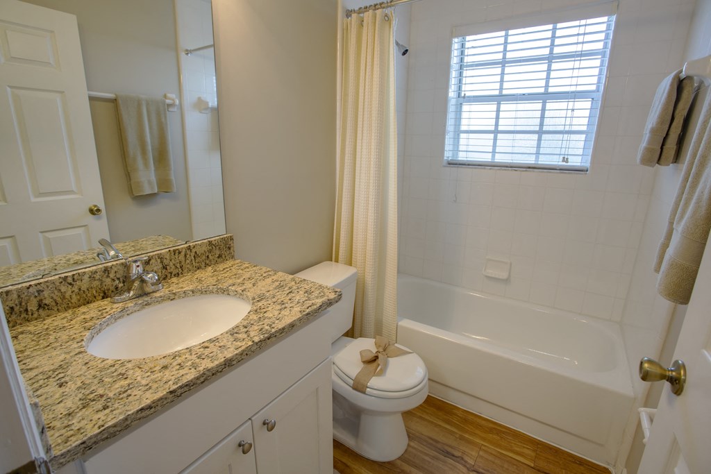 a bathroom with a sink and a toilet and a bath tub