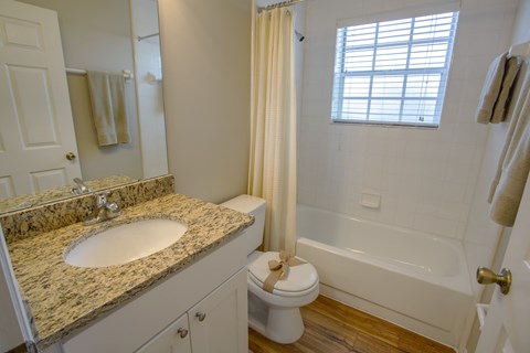 a bathroom with a sink and a toilet and a bath tub