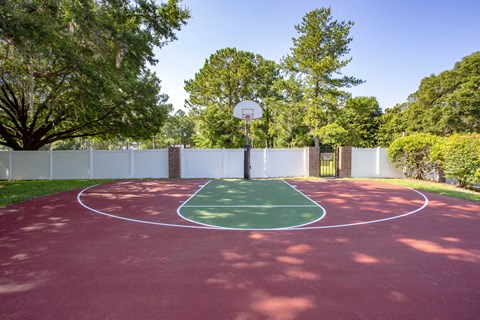 a basketball court in a park with trees