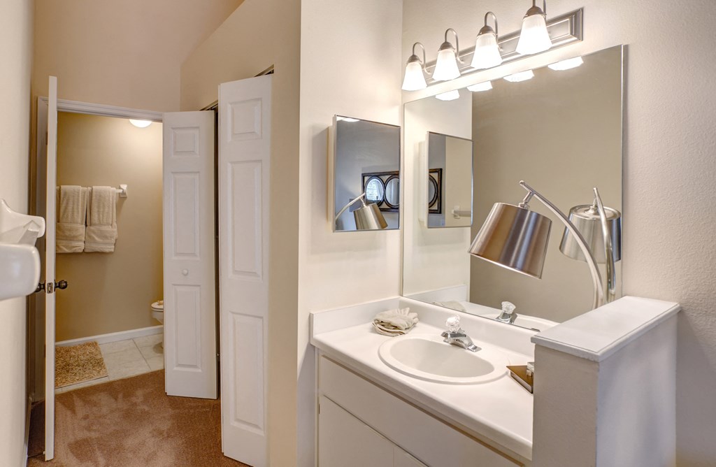 a bathroom with a sink and a mirror and a shower