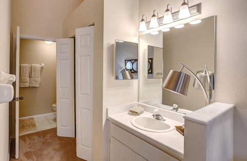 a bathroom with a sink and a mirror and a shower