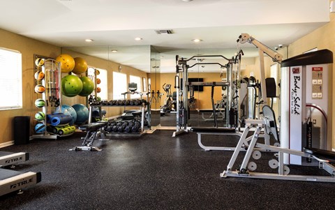 a gym with weights and cardio equipment on the floor