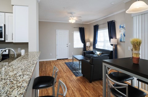 the view of a living room from the kitchen and dining room of a apartment