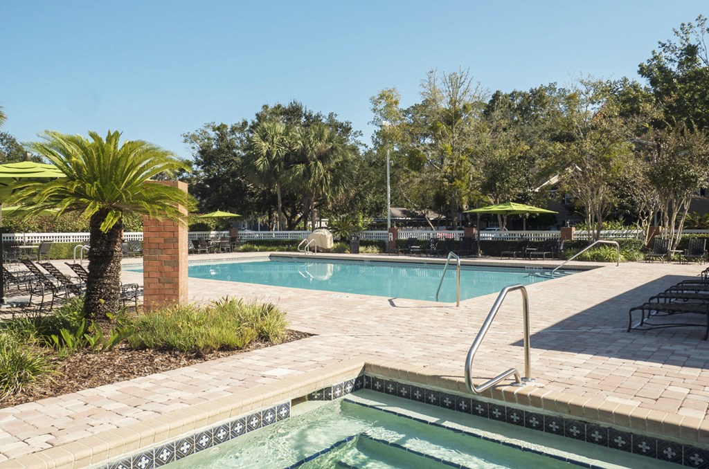 a swimming pool with a palm tree next to it