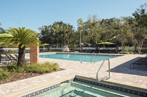 a swimming pool with a palm tree next to it