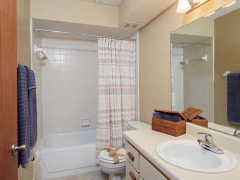 a bathroom with a sink and a toilet and a shower