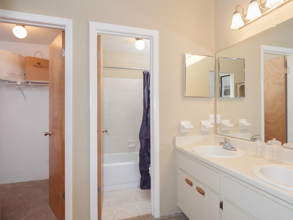 a bathroom with a sink and a shower and a mirror