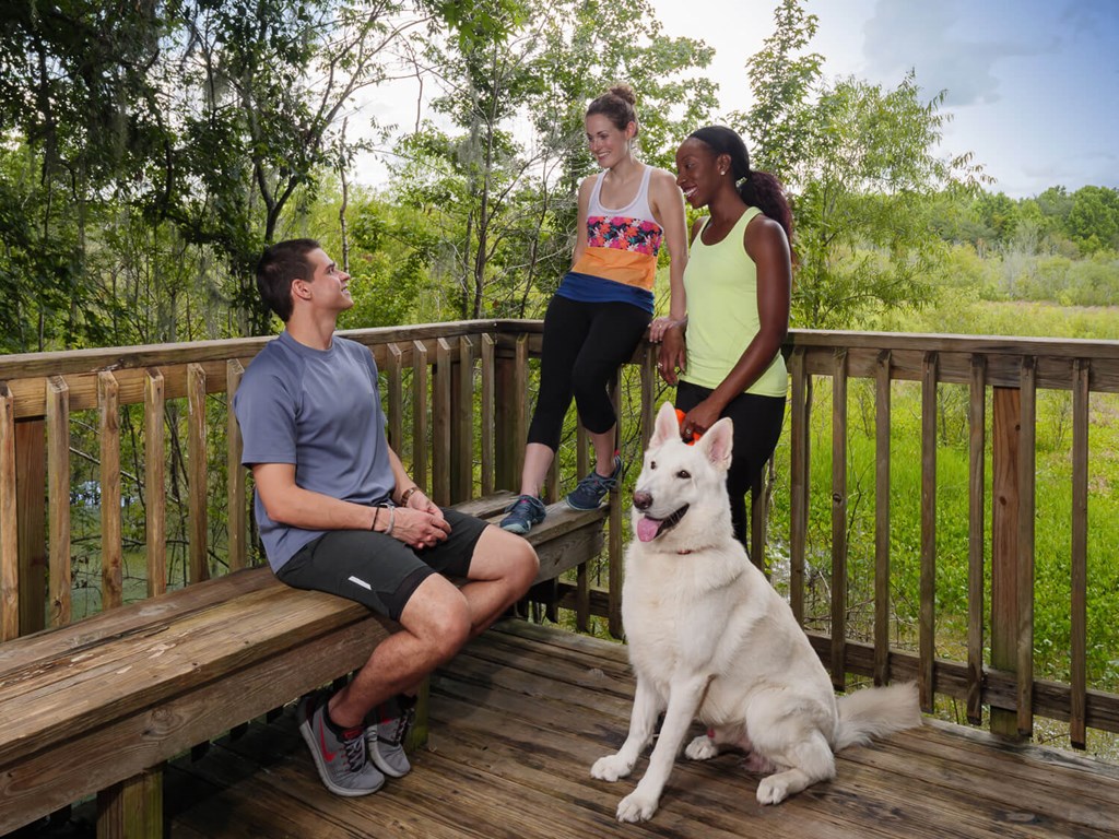 a group of people on a deck with a dog