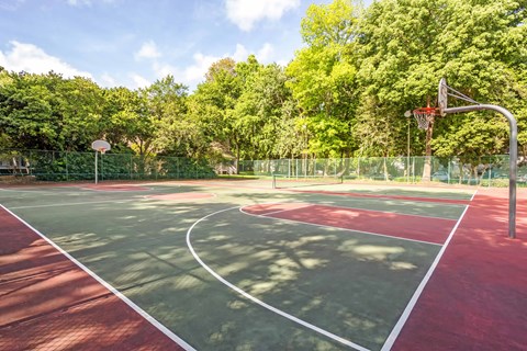 a basketball court in a park with trees