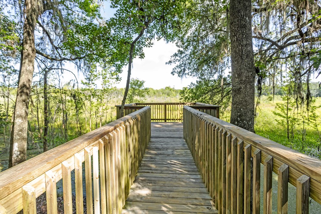 a wooden bridge in the woods with trees