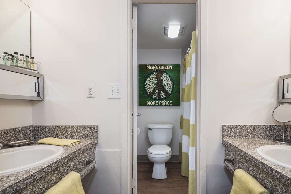 a bathroom with a toilet and a sink and a mirror