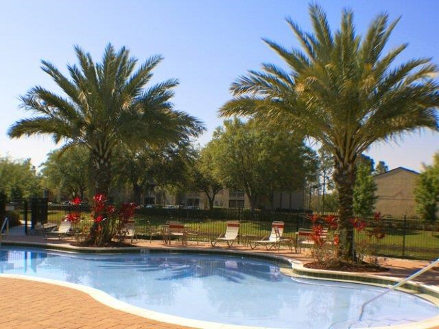 a swimming pool with palm trees and chairs around it
