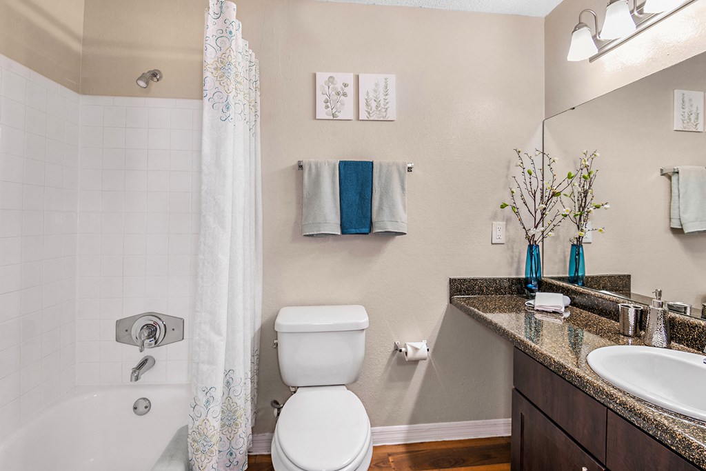 a bathroom with a shower toilet and sink and a mirror