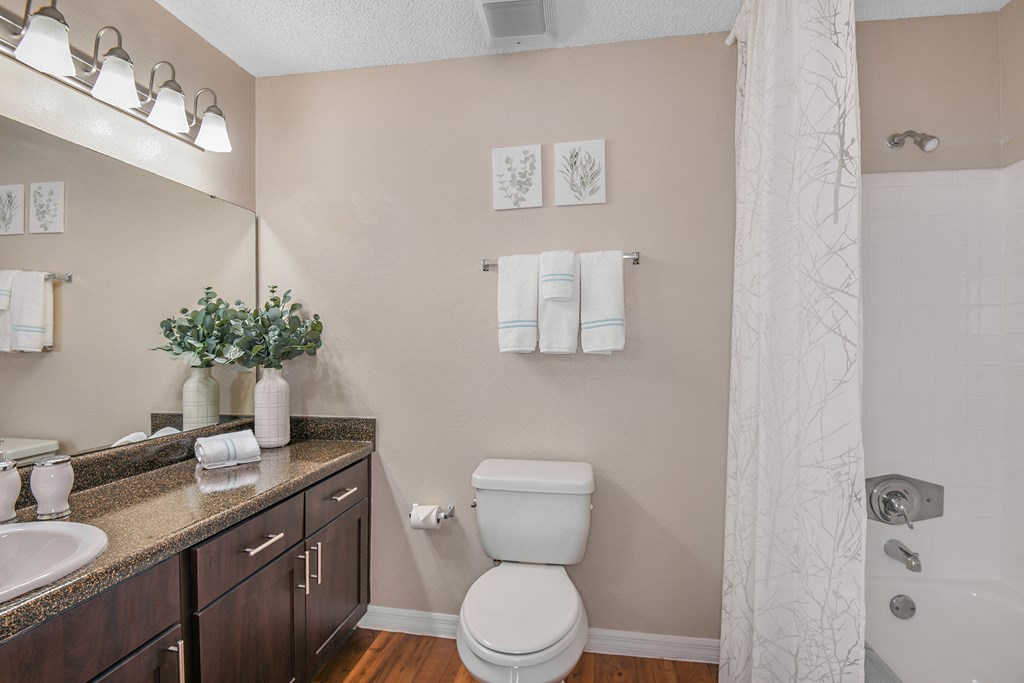 a bathroom with a toilet and a sink and a mirror