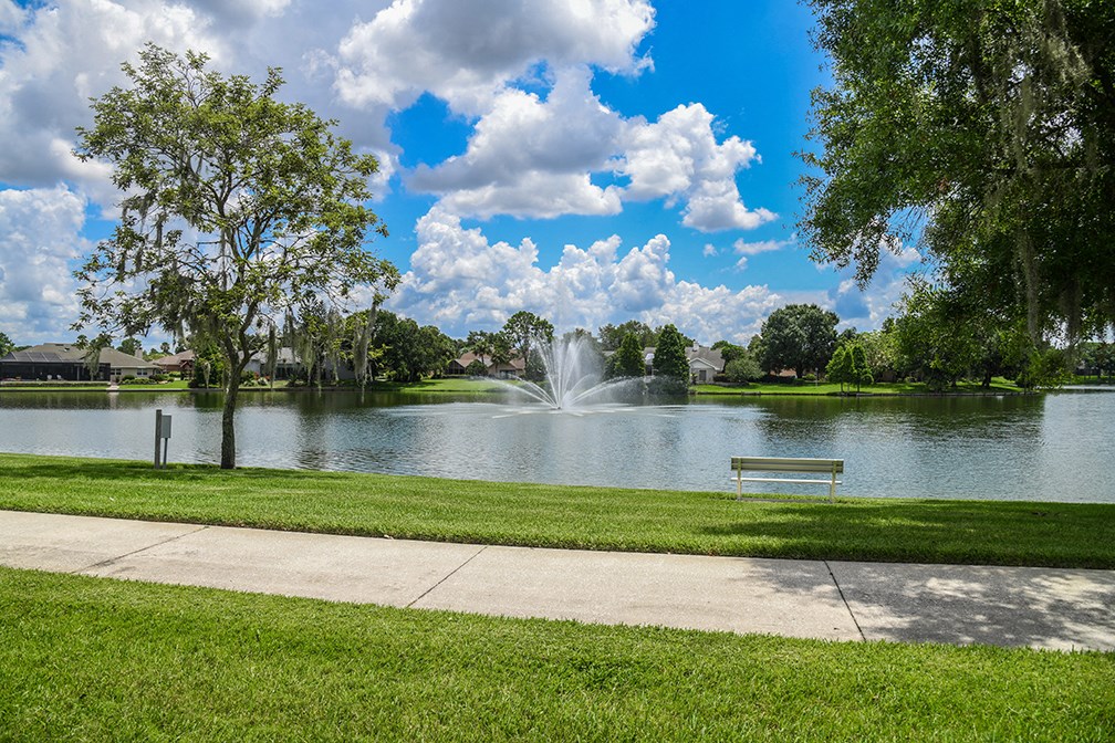 a park with a fountain in the lake and a bench