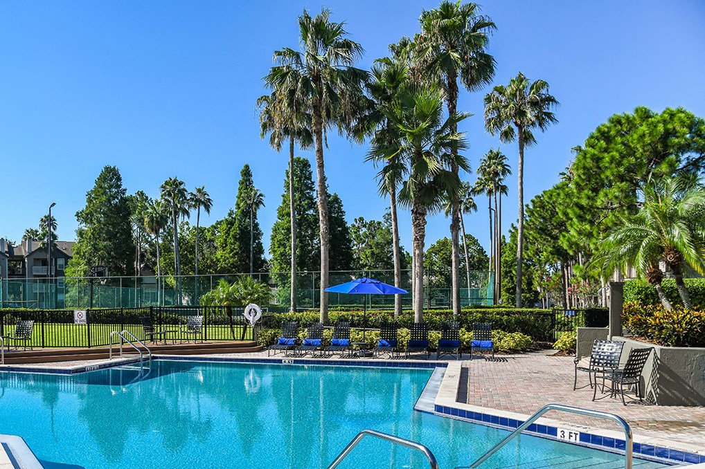 a swimming pool with chairs and palm trees