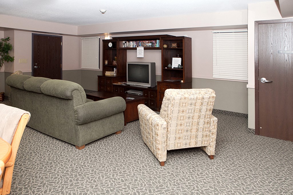 a living room with a couch and chair and a television