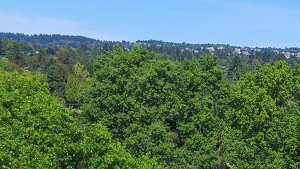 Apartments For Rent In Portland Or Commons At Timber Creek