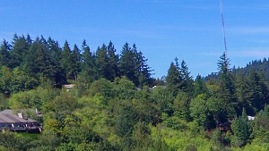 Commons at Sylvan Highlands Apartments, Tandem Property Management Portland