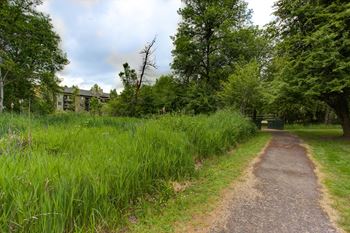 Grass at Commons at Avalon Park Apartments, Tigard, Oregon