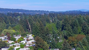 Commons at Avalon Park Tigard Oregon Apartments