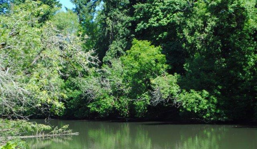 Commons At Avalon Park Apartments