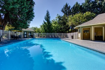 17000 SW Pacific Hwy 1-2 Beds Apartment for Rent - Photo Gallery 8