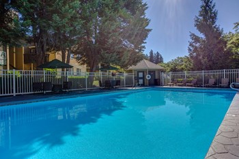 17000 SW Pacific Hwy 1-2 Beds Apartment for Rent - Photo Gallery 7