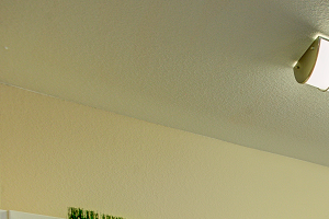 Commons At Verandas In Tanasbourne Apartments, 2501 NE Overlook Drive