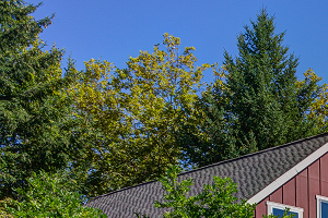 Commons at Verandas | Hillsboro Apartments