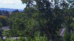 Commons at Dawson Creek Apartments in Hillsboro Oregon - Photo Gallery 3