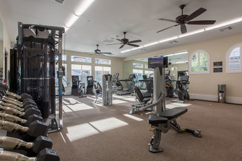 a gym with weights and cardio machines and ceiling fans