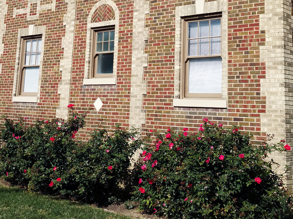a brick building with roses in front of it